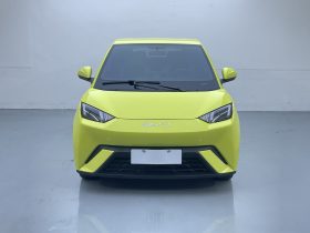 BYD 2023 Seagull Active Version