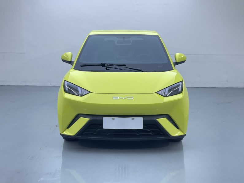 BYD 2023 Seagull Active Version