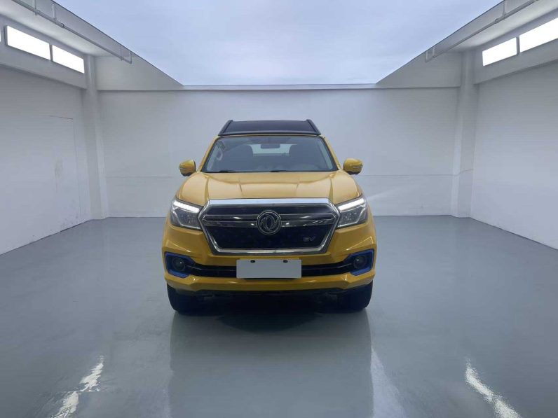 Dongfeng 2021 Rich 6 EV Van Flagship
