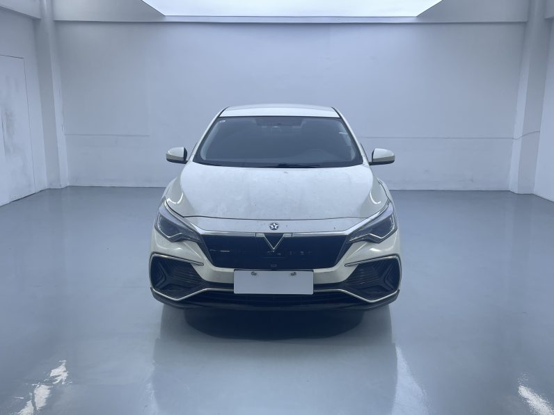 Venucia 2022 D60EV Standard T3