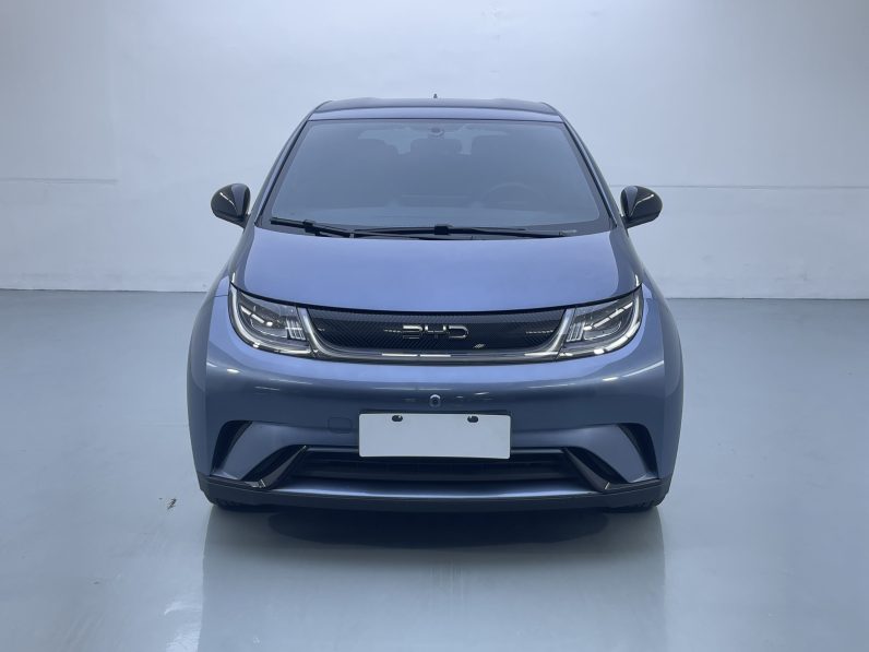 BYD 2024 Dolphin Honor 420km Free