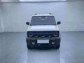 Geely 2024 Panda 200km Knight