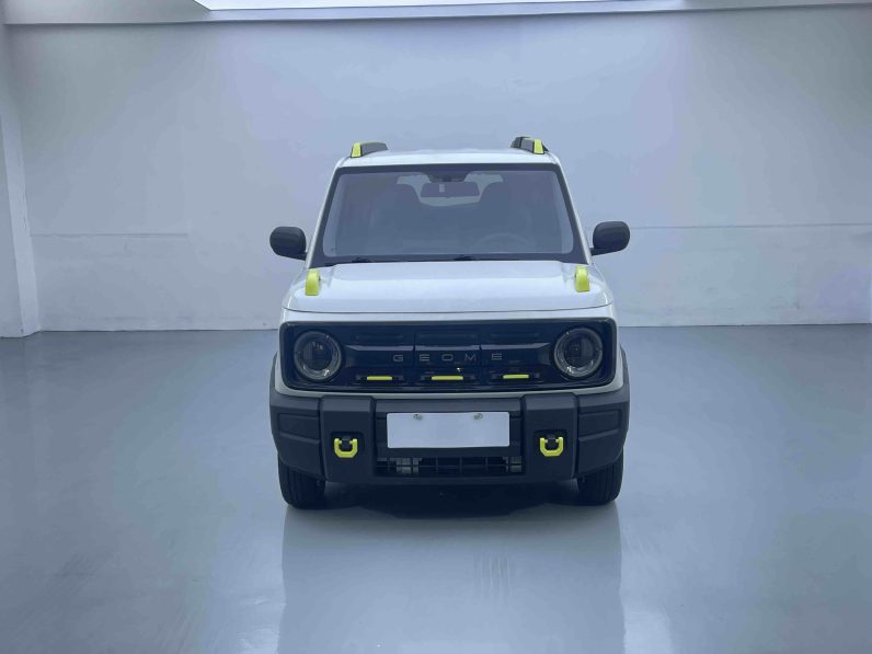 Geely 2024 Panda 200km Knight