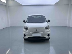 Leapmotor 2023 T03 310 Lite
