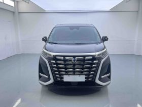 Denza 2023 D9 DM-i 970 AWD Flagship