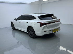 NETA 2025 S Shooting Brake EREV 300 Standard