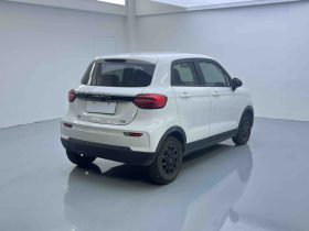 Leapmotor 2023 T03 310 Lite