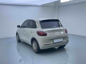 Wuling 2023 Bingo 333km