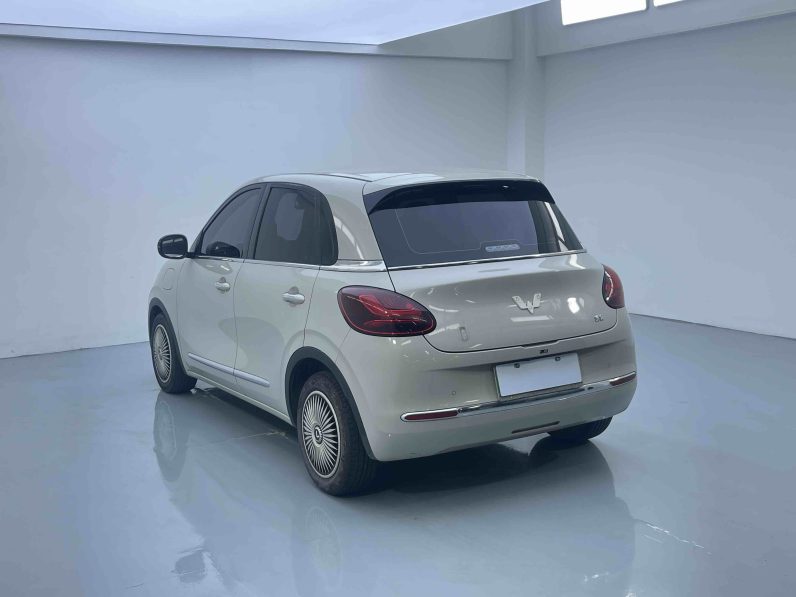 Wuling 2023 Bingo 333km