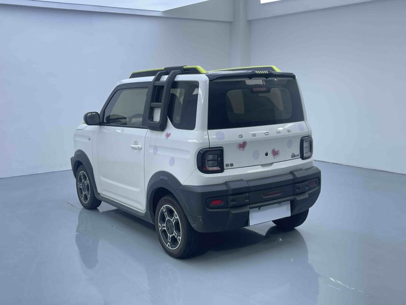 Geely 2024 Panda 200km Knight