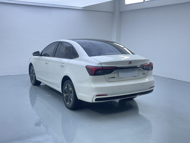 Rising Auto 2021 ER6 620km Zhixiang Edition