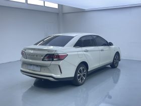 Venucia 2022 D60EV Standard T3