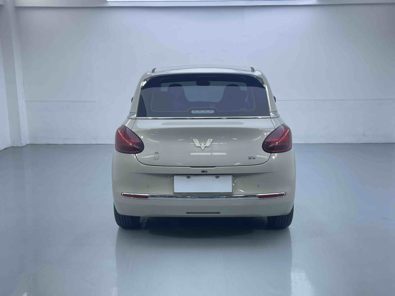 Wuling 2023 Bingo 333km