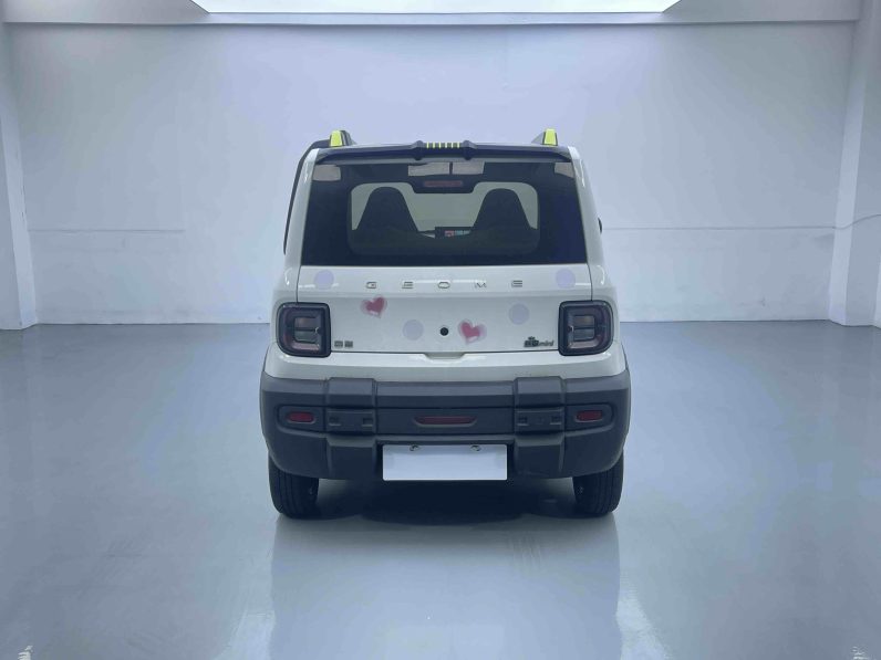Geely 2024 Panda 200km Knight