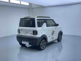 Geely 2024 Panda 200km Knight