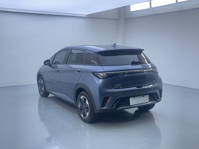 BYD 2024 Dolphin Honor 420km Free