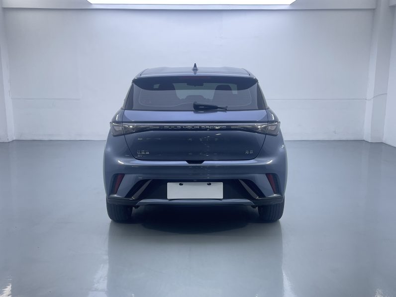BYD 2024 Dolphin Honor 420km Free