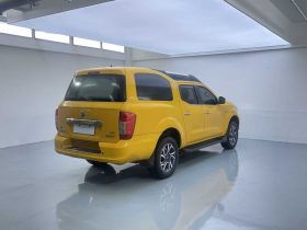 Dongfeng 2021 Rich 6 EV Van Flagship