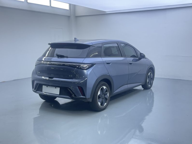 BYD 2024 Dolphin Honor 420km Free