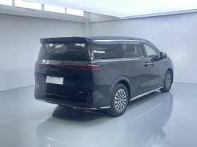 BYD 2025 M9 1060 Navigator