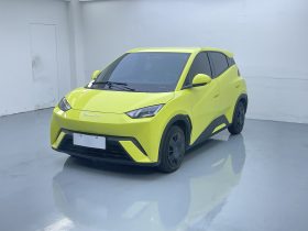 BYD 2023 Seagull Active Version