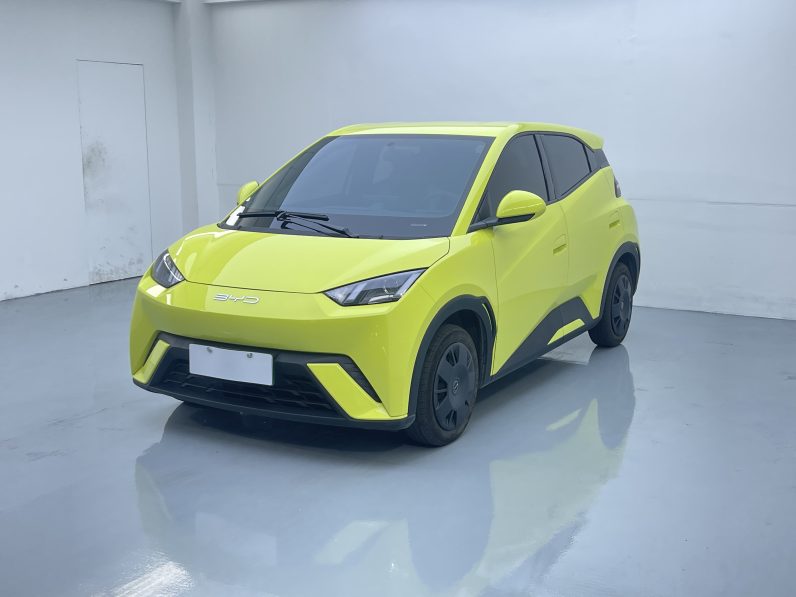BYD 2023 Seagull Active Version