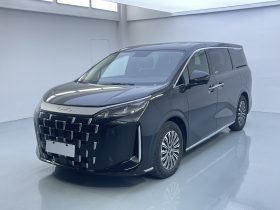 BYD 2025 M9 1060 Navigator