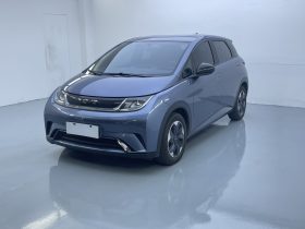 BYD 2024 Dolphin Honor 420km Free