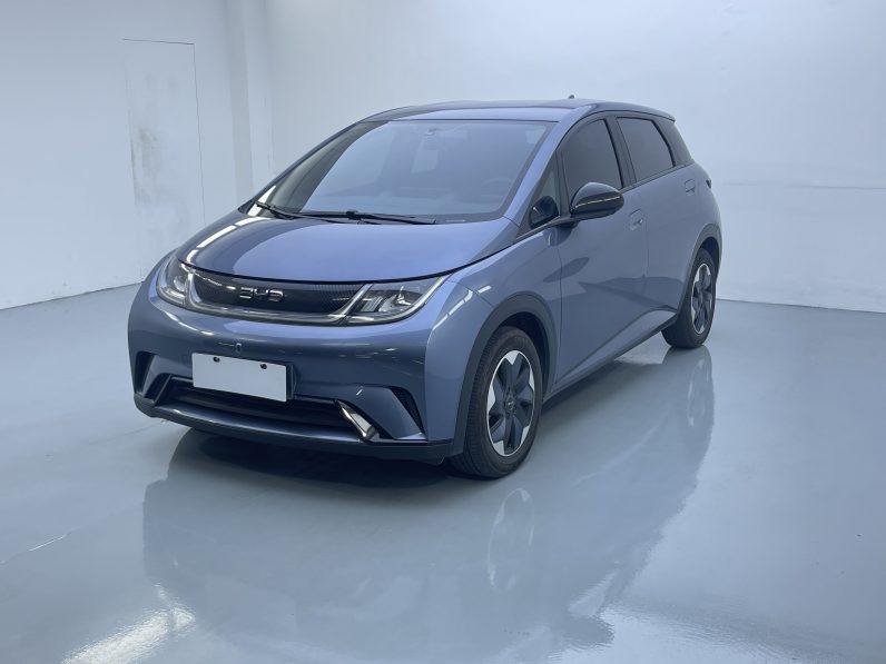 BYD 2024 Dolphin Honor 420km Free