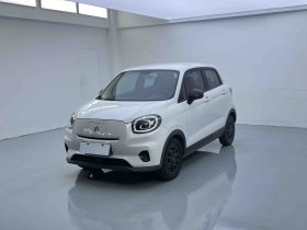 Leapmotor 2023 T03 310 Lite