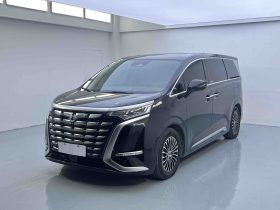 Denza 2023 D9 DM-i 970 AWD Flagship
