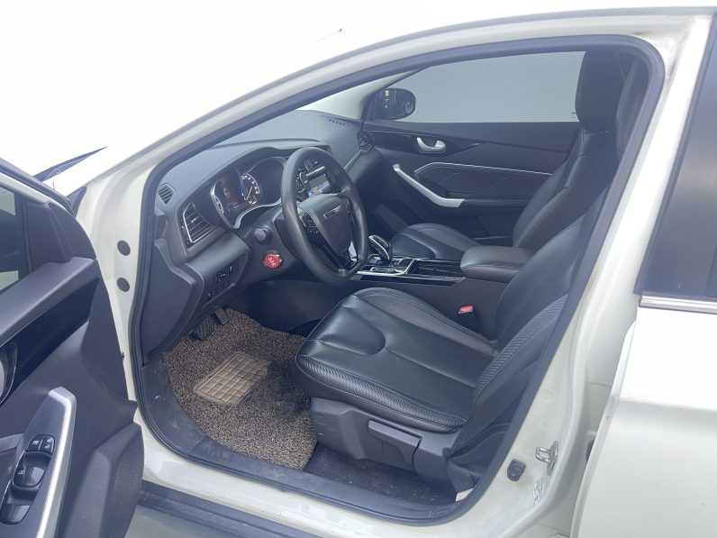 Venucia 2022 D60EV Standard T3