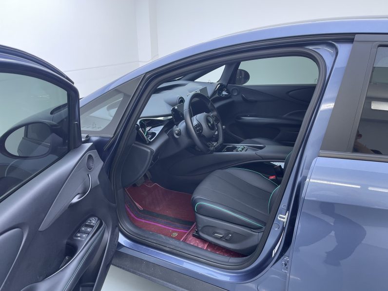 BYD 2024 Dolphin Honor 420km Free