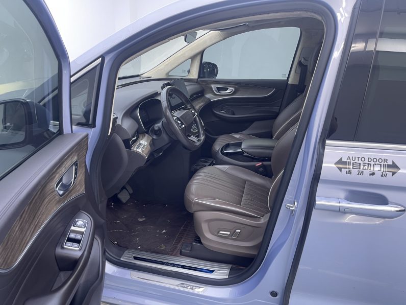 Roewe 2022 iMAX8 EV Platinum