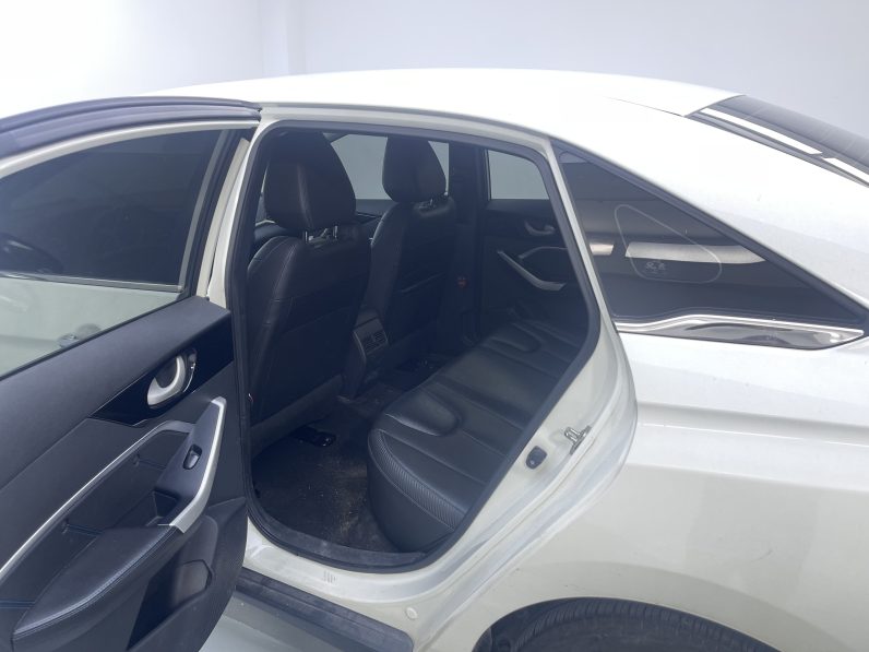 Venucia 2022 D60EV Standard T3