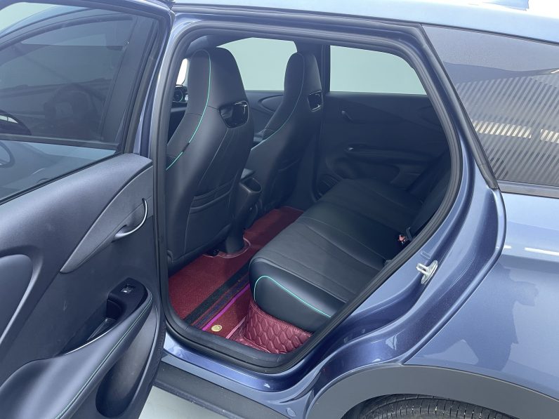 BYD 2024 Dolphin Honor 420km Free