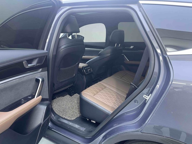 BYD 2021 Tang DM-i 112KM Premium