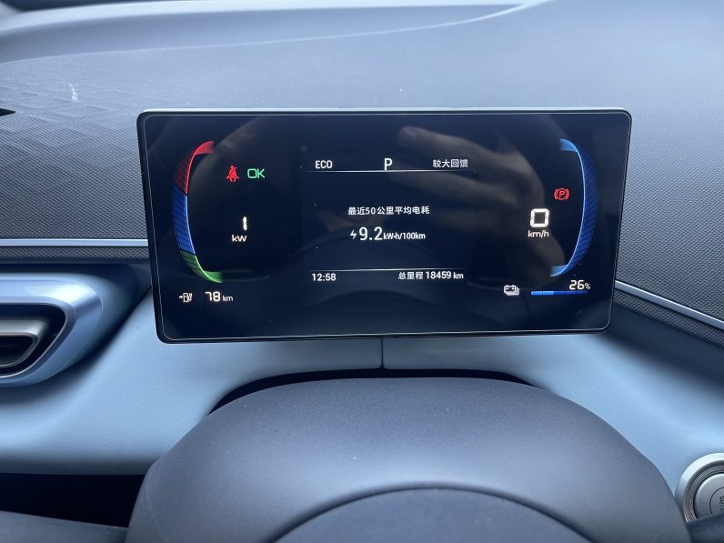 BYD 2023 Seagull Active Version