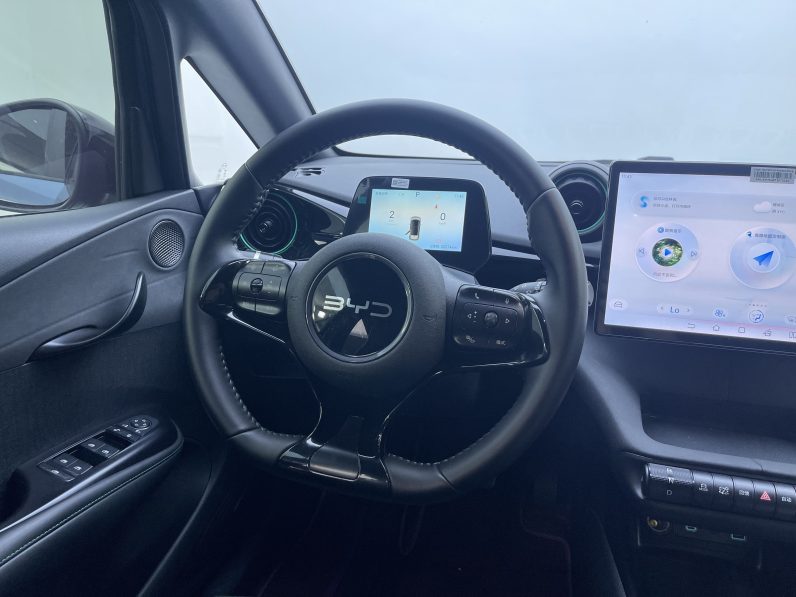 BYD 2024 Dolphin Honor 420km Free
