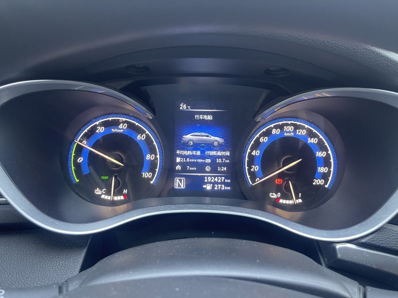 Venucia 2022 D60EV Standard T3