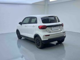 Leapmotor 2023 T03 310 Lite