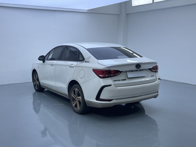 BAIC 2021 EU5 R500 Zhifeng Edition