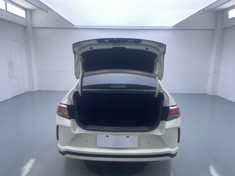 Venucia 2022 D60EV Standard T3
