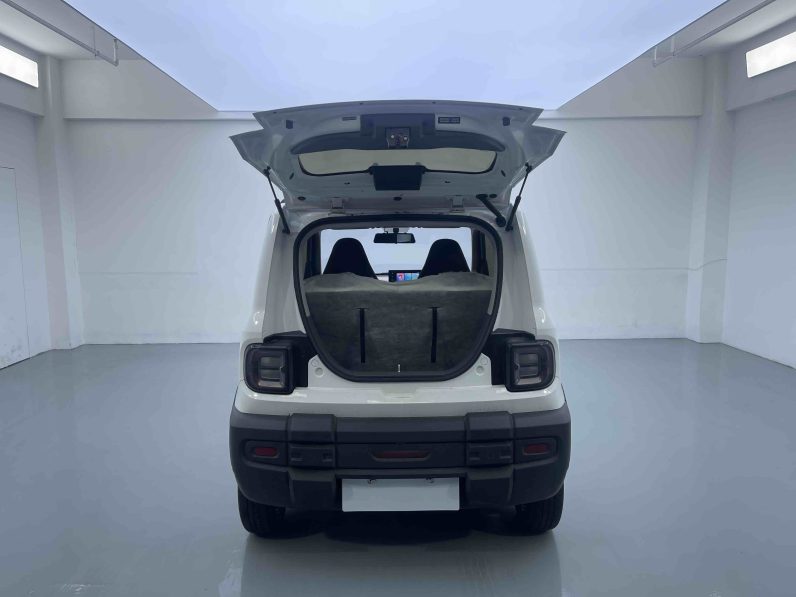 Geely 2024 Panda 200km Knight