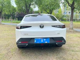 Changan 2023 Yida 1.5T GDI Auto Premium