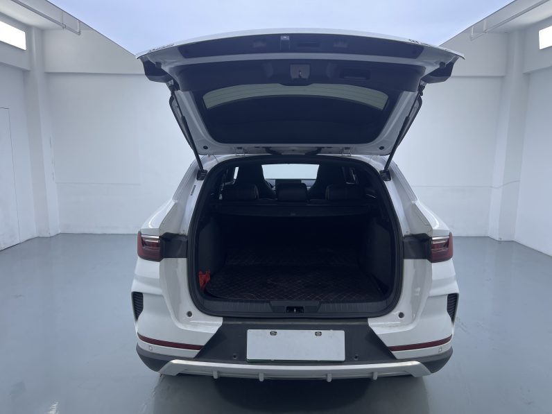 BYD 2021 Song PLUS EV Premium Version