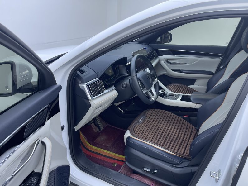 BYD 2021 Song PLUS EV Premium Version